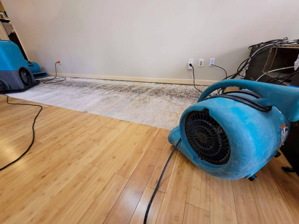 Professional Water Extraction technician working in Providence, RI